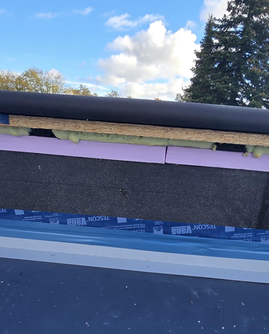 Dachprojekt in Trier