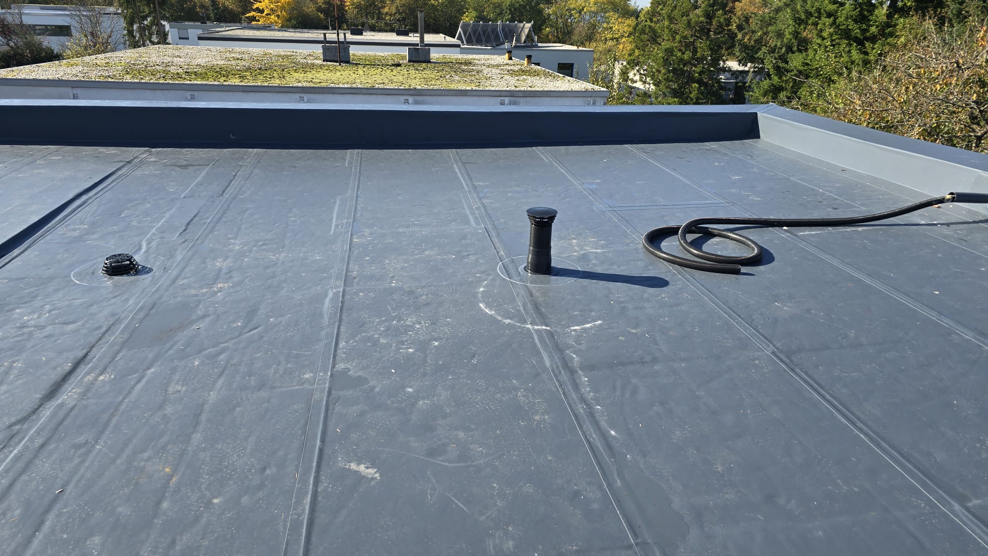 Dachprojekt in Trier